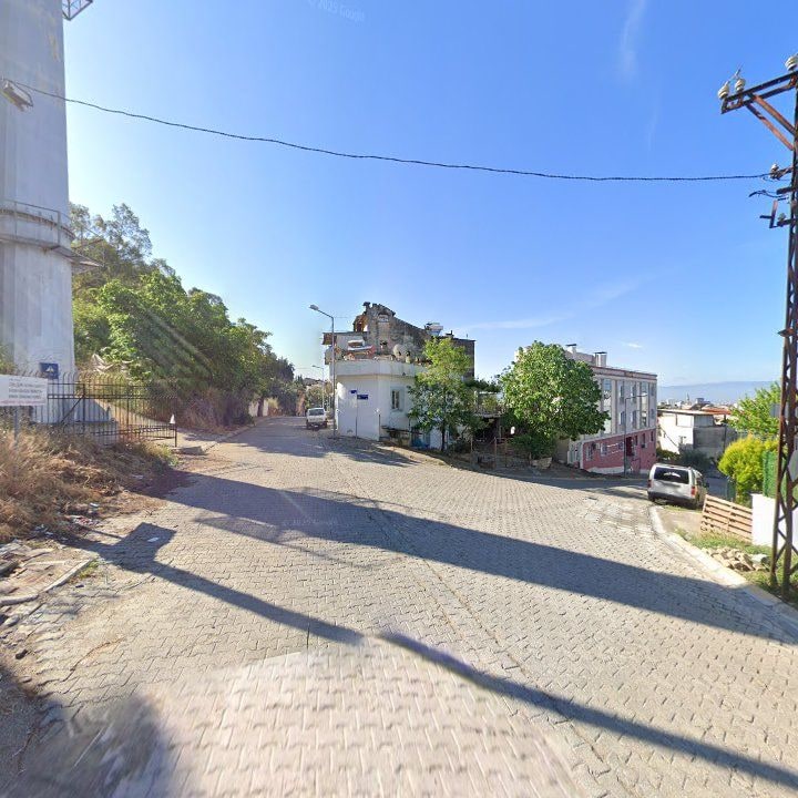 Fotoğraf 7