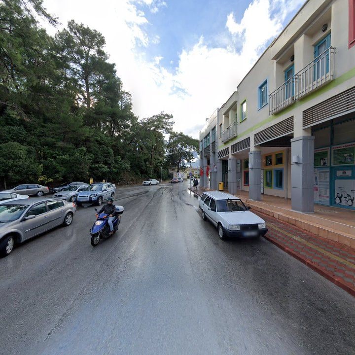 Fotoğraf 9