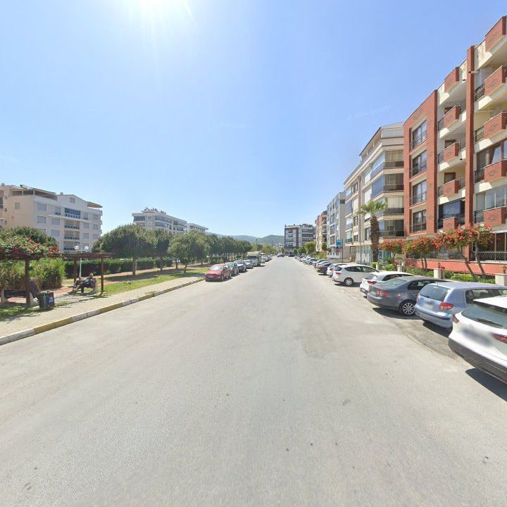 Fotoğraf 10