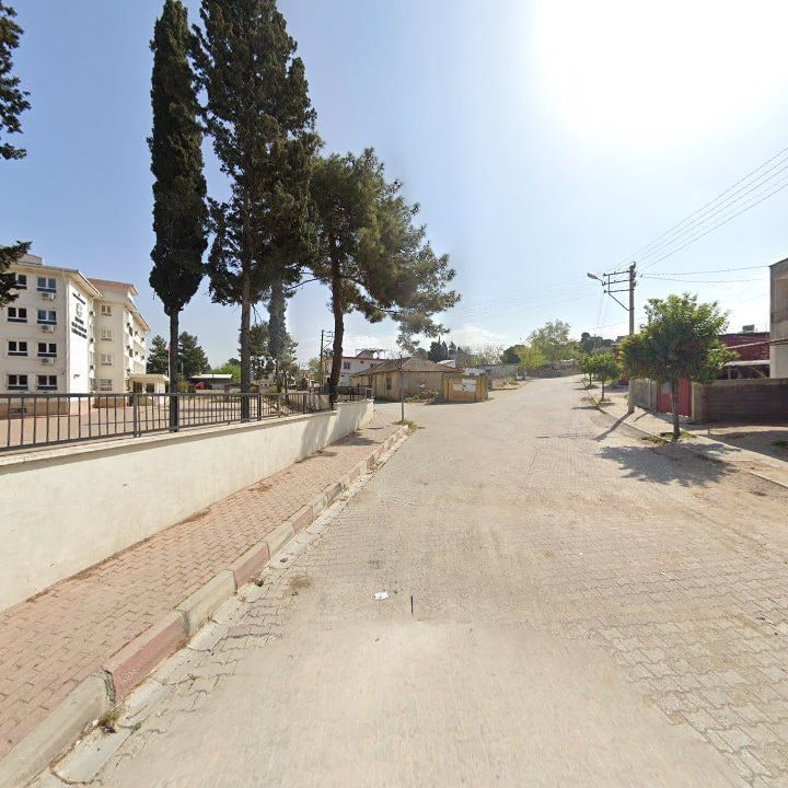 Fotoğraf 7