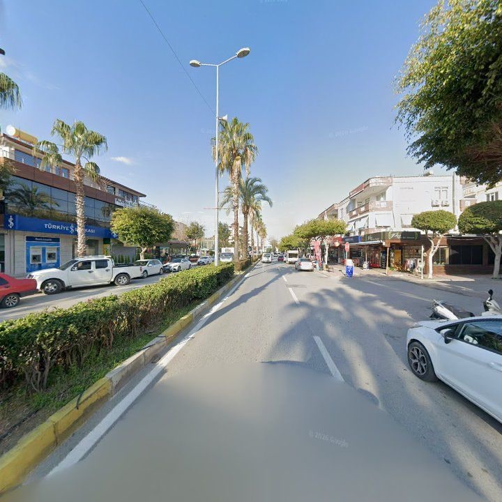 Fotoğraf 11