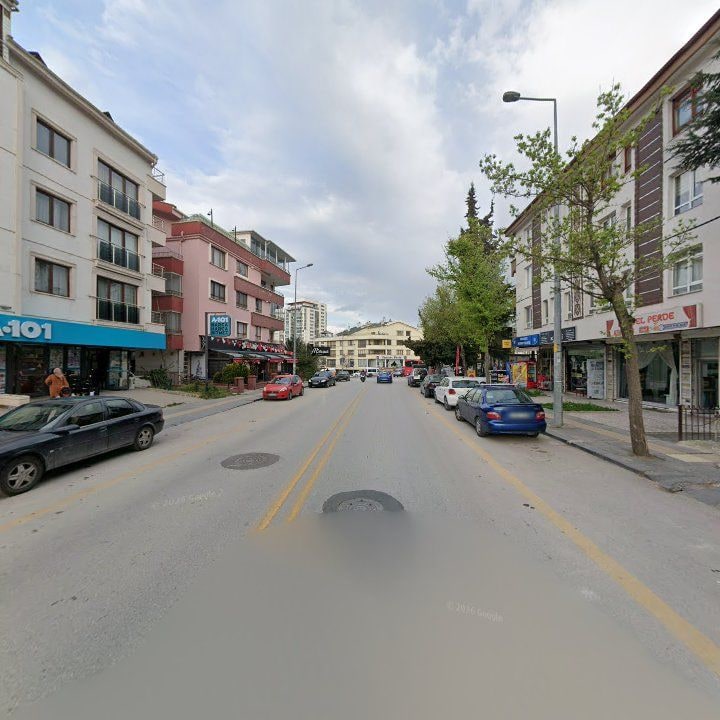 Fotoğraf 6