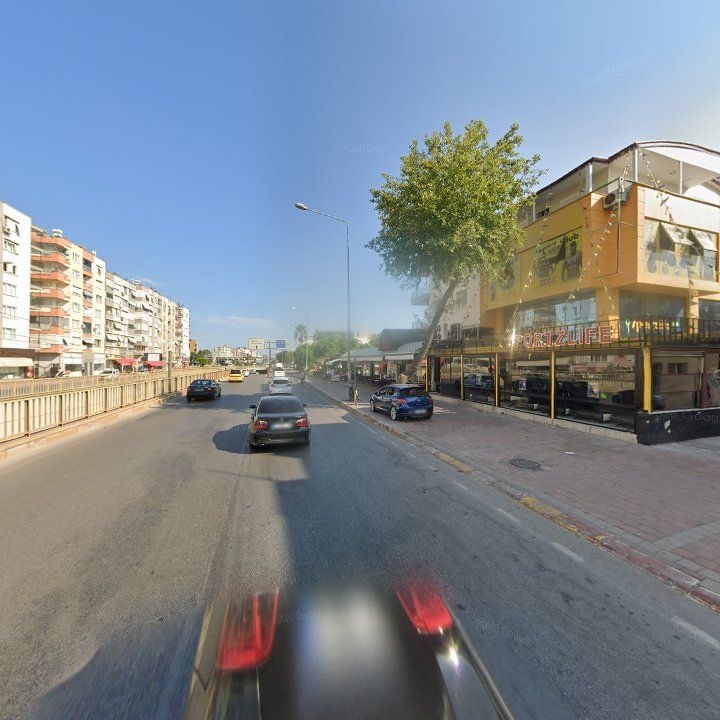 Fotoğraf 7