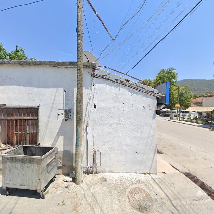 Fotoğraf 9