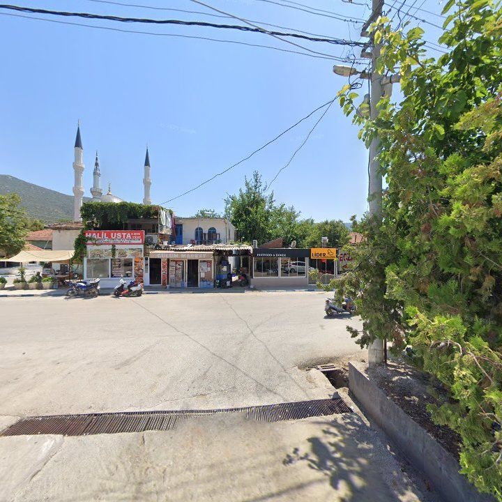 Fotoğraf 6