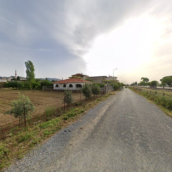 Fotoğraf 9