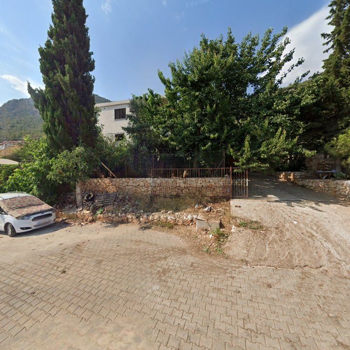 Fotoğraf 11