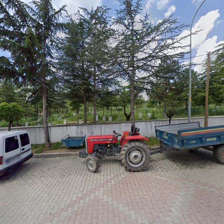 Fotoğraf 5