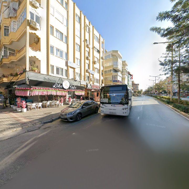 Fotoğraf 7