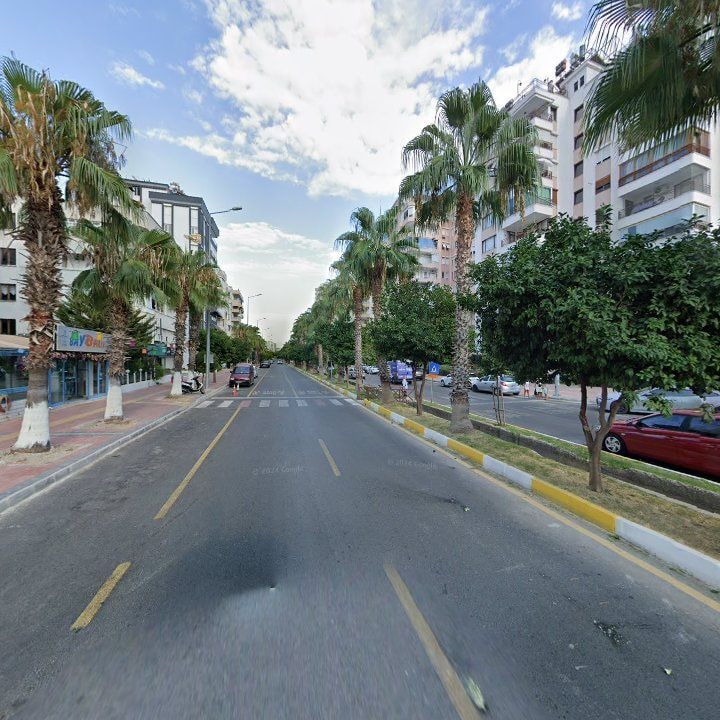 Fotoğraf 16