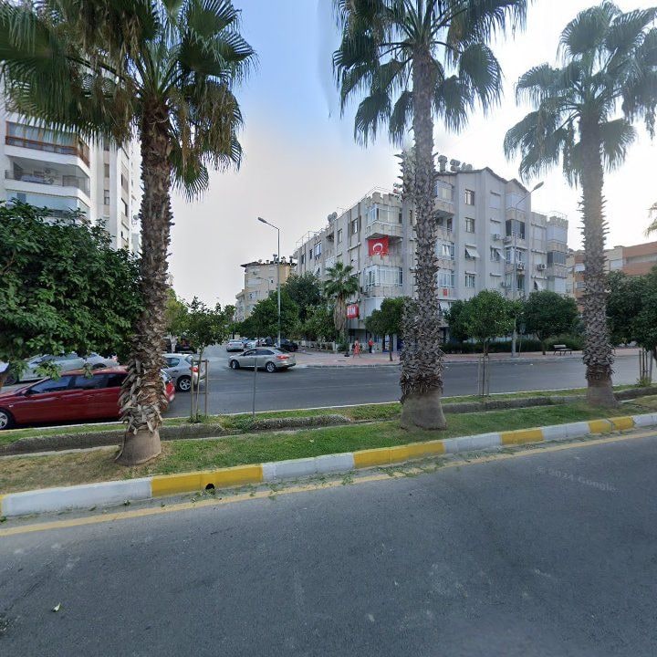 Fotoğraf 17