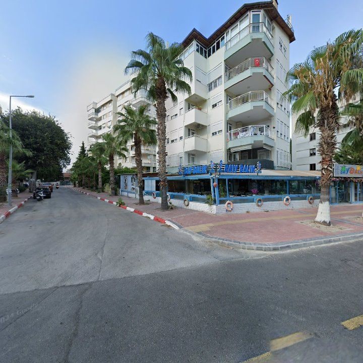 Fotoğraf 15