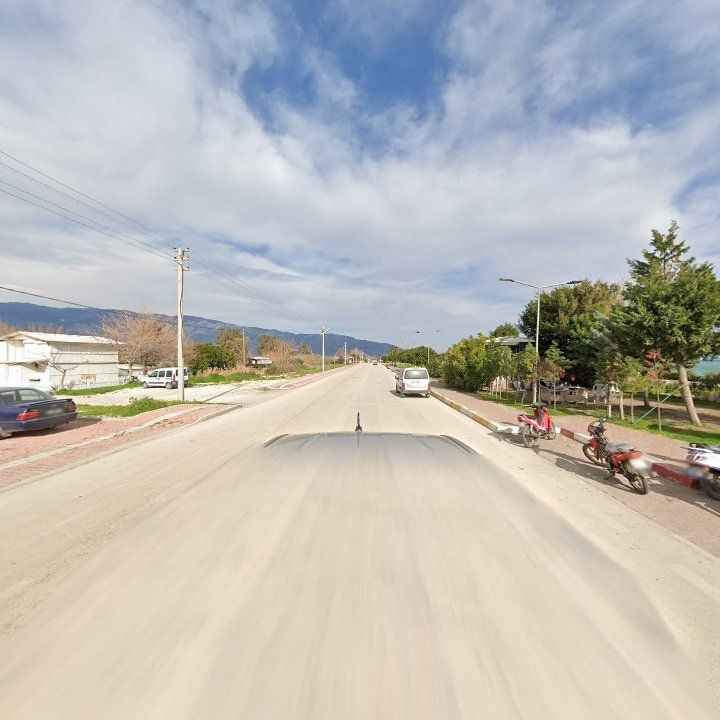 Fotoğraf 7