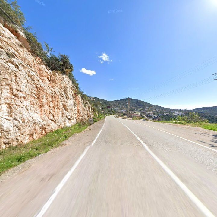 Fotoğraf 14