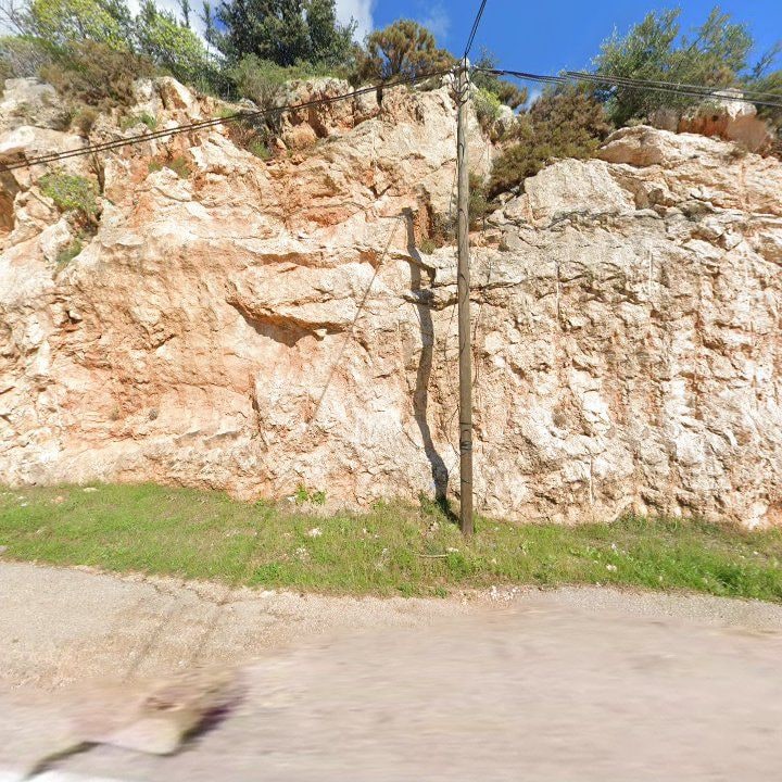 Fotoğraf 13