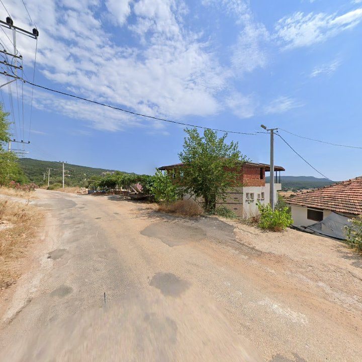 Fotoğraf 8