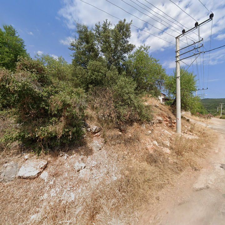 Fotoğraf 11