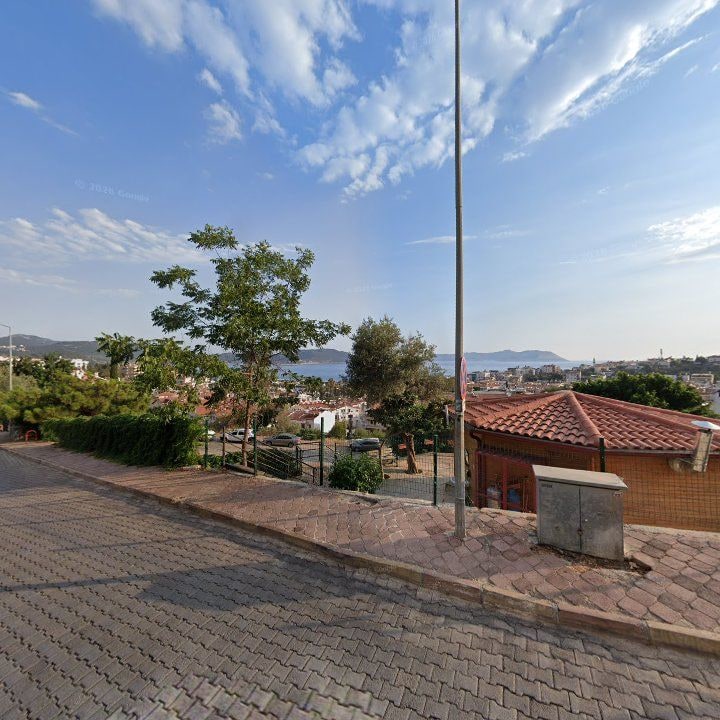 Fotoğraf 9