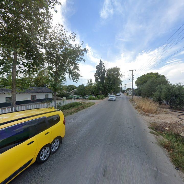 Fotoğraf 7