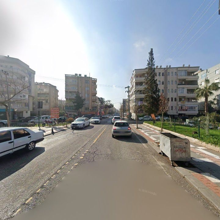 Fotoğraf 6