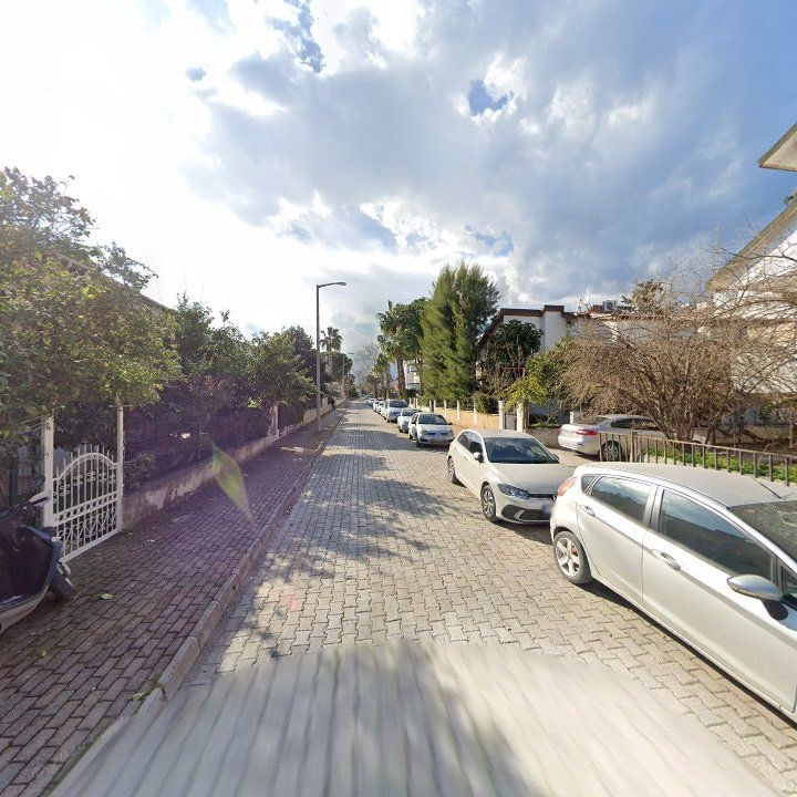 Fotoğraf 12