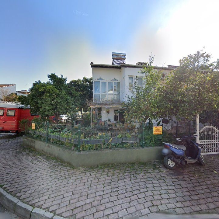 Fotoğraf 11