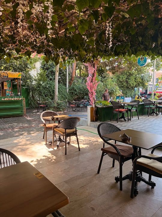Liman Cafe & Bar