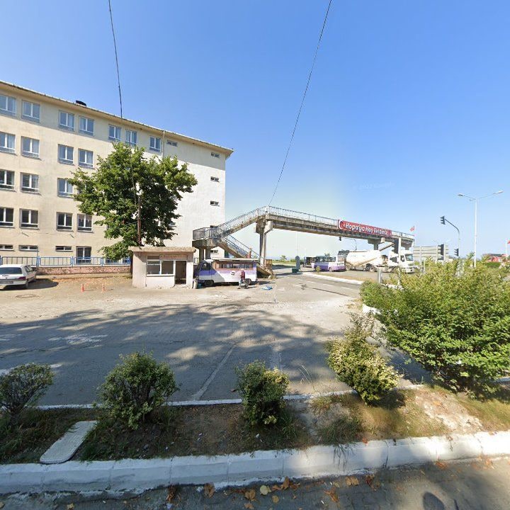 Fotoğraf 13