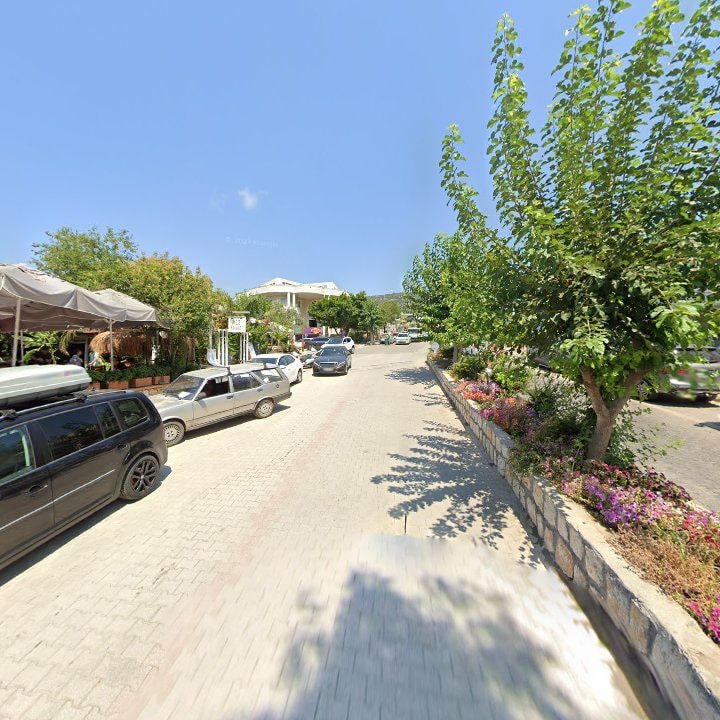 Fotoğraf 9