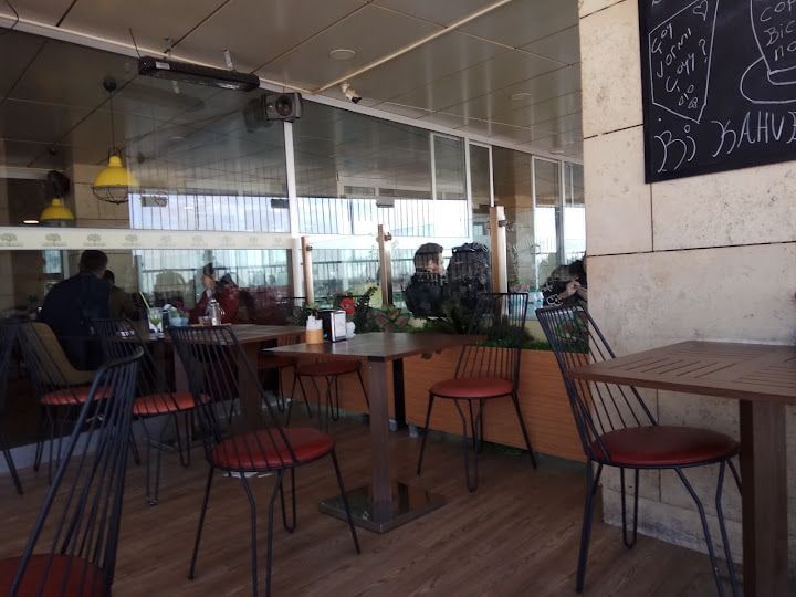 Limon Ağacı