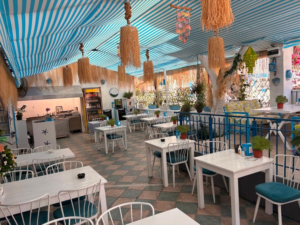 Limon Ağacı Kadınlar Denizi Cafe & Bar