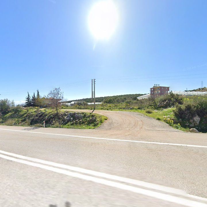 Fotoğraf 13