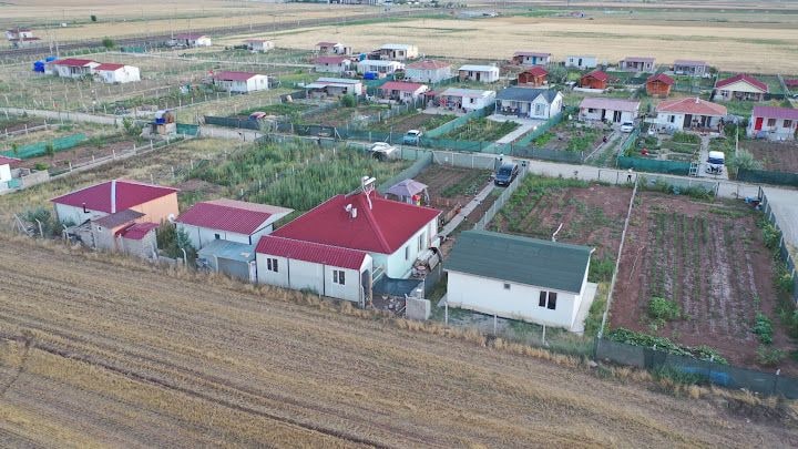 Limon Çiçeği Hobi Bahçesi