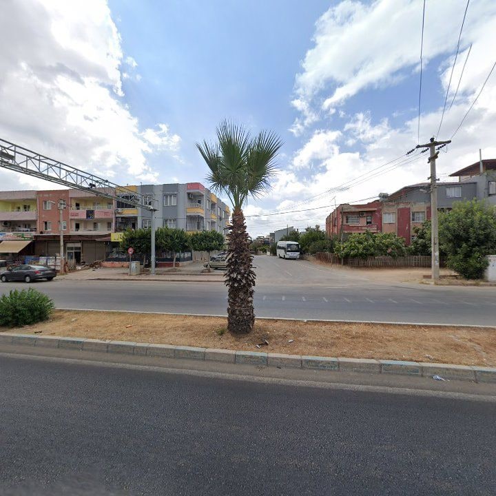 Fotoğraf 6