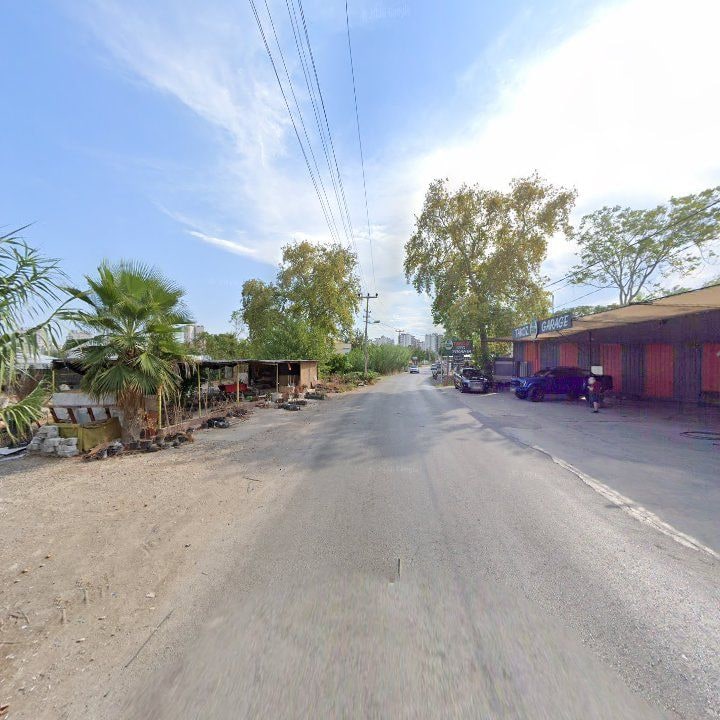Fotoğraf 8