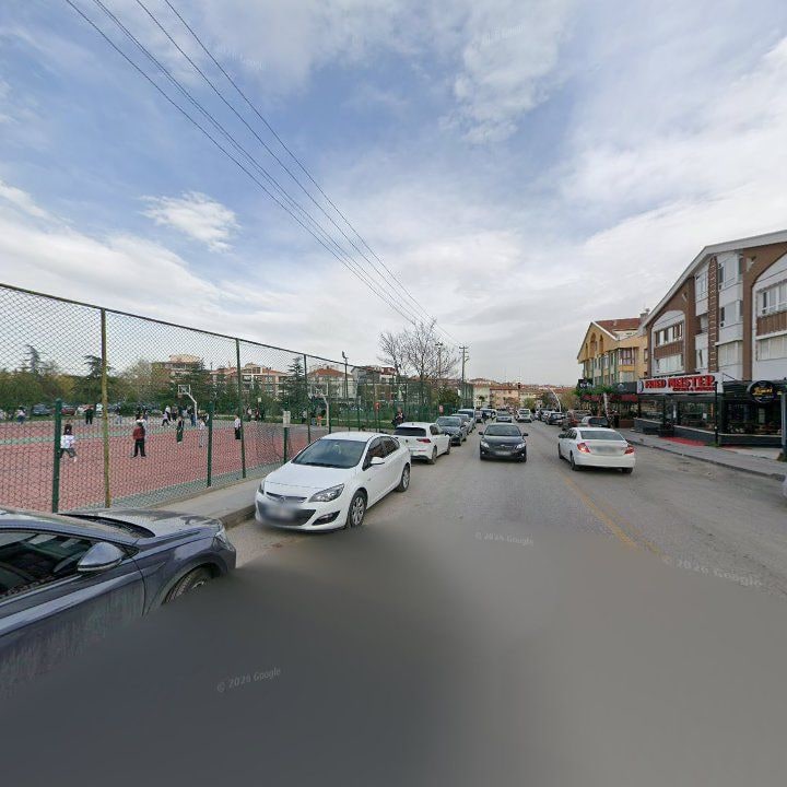 Fotoğraf 12