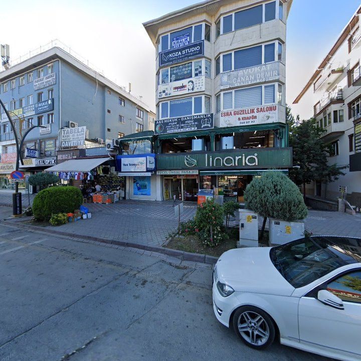Fotoğraf 7