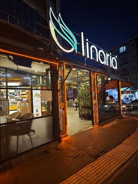 Linaria Pasta-cafe-bistro Şube