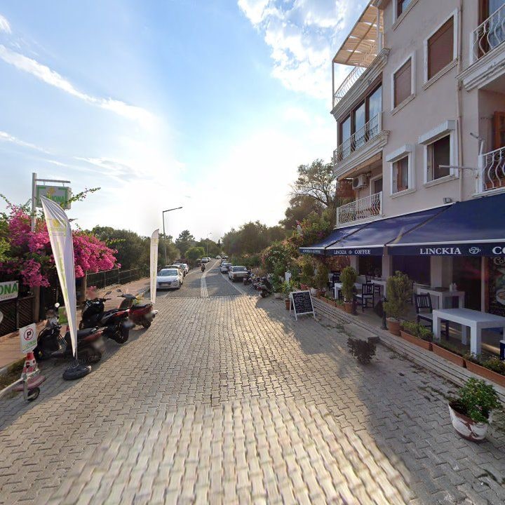 Fotoğraf 14