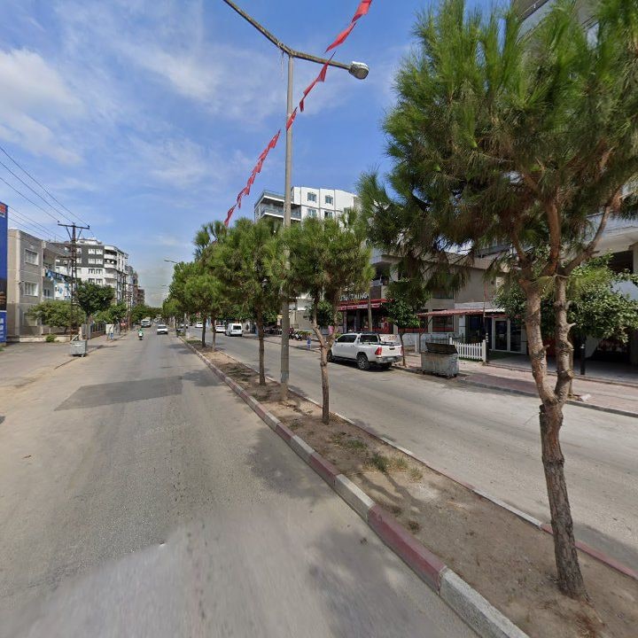 Fotoğraf 6