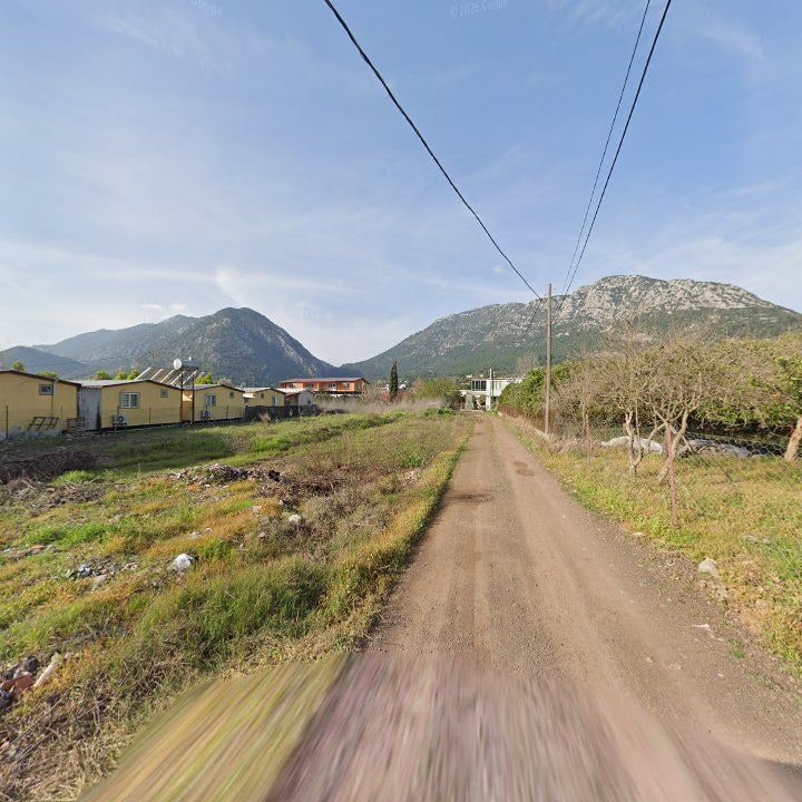 Fotoğraf 12