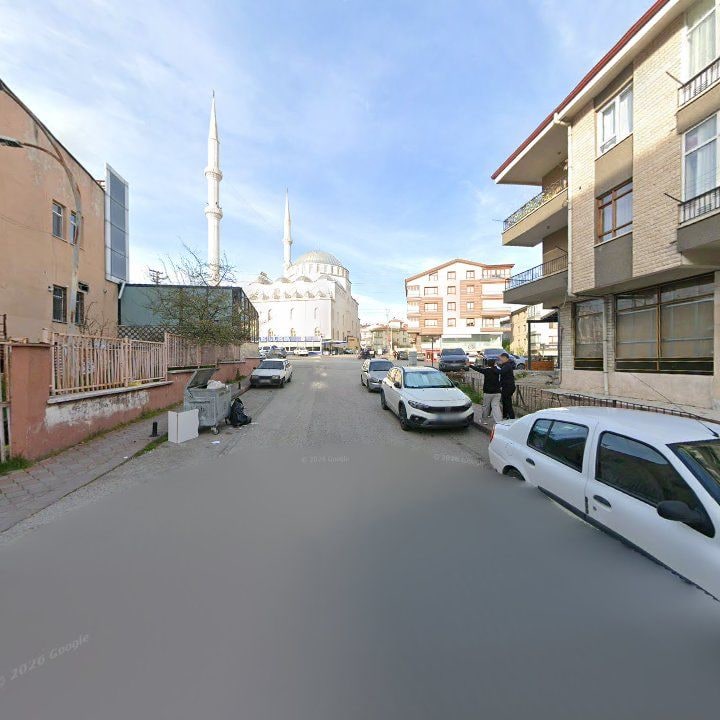 Fotoğraf 8