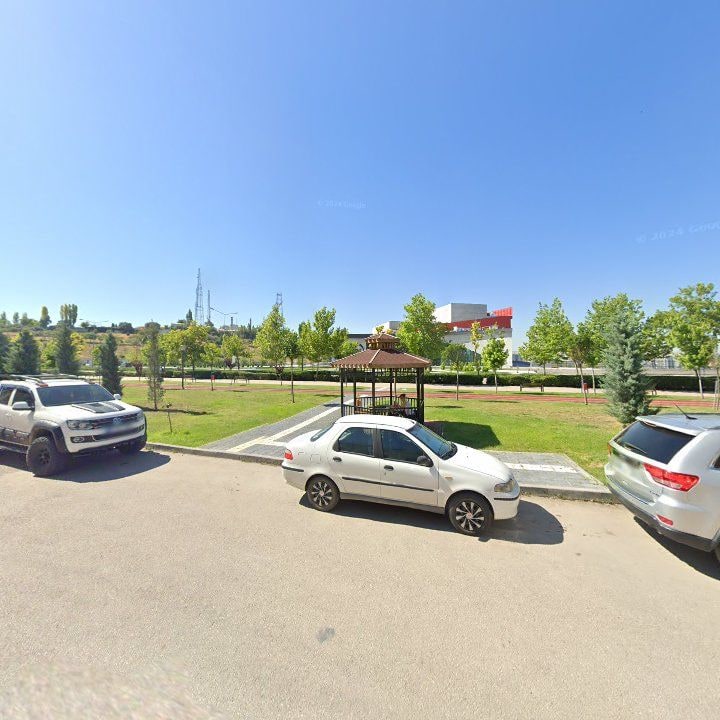 Fotoğraf 8
