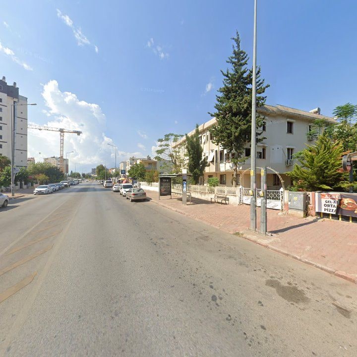 Fotoğraf 10