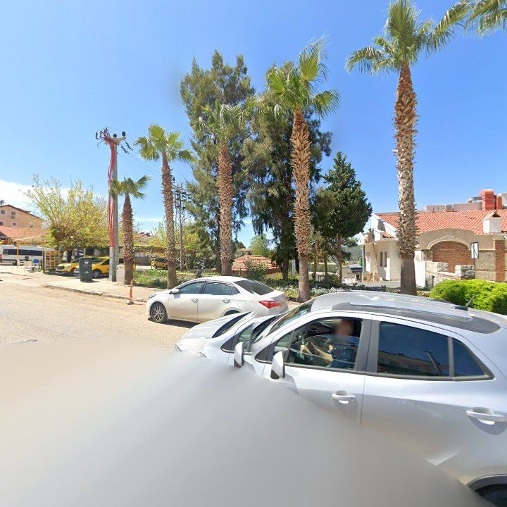 Fotoğraf 8