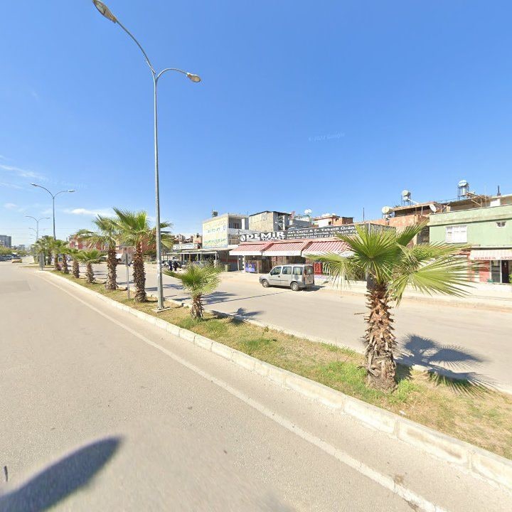 Fotoğraf 8