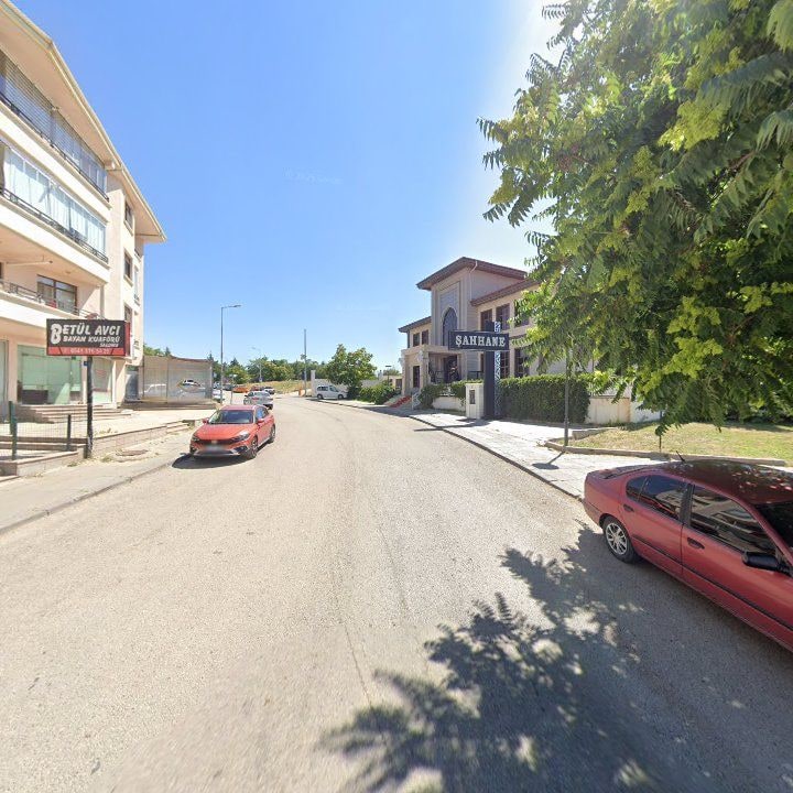 Fotoğraf 9