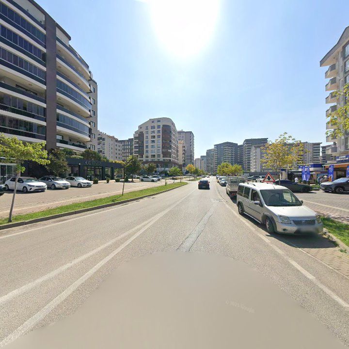 Fotoğraf 10