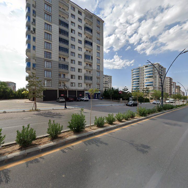 Fotoğraf 11
