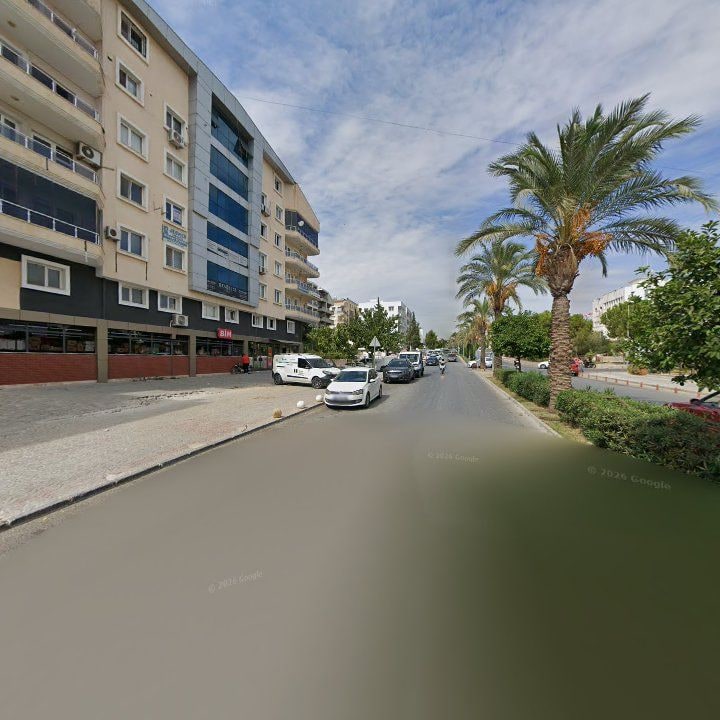Fotoğraf 8